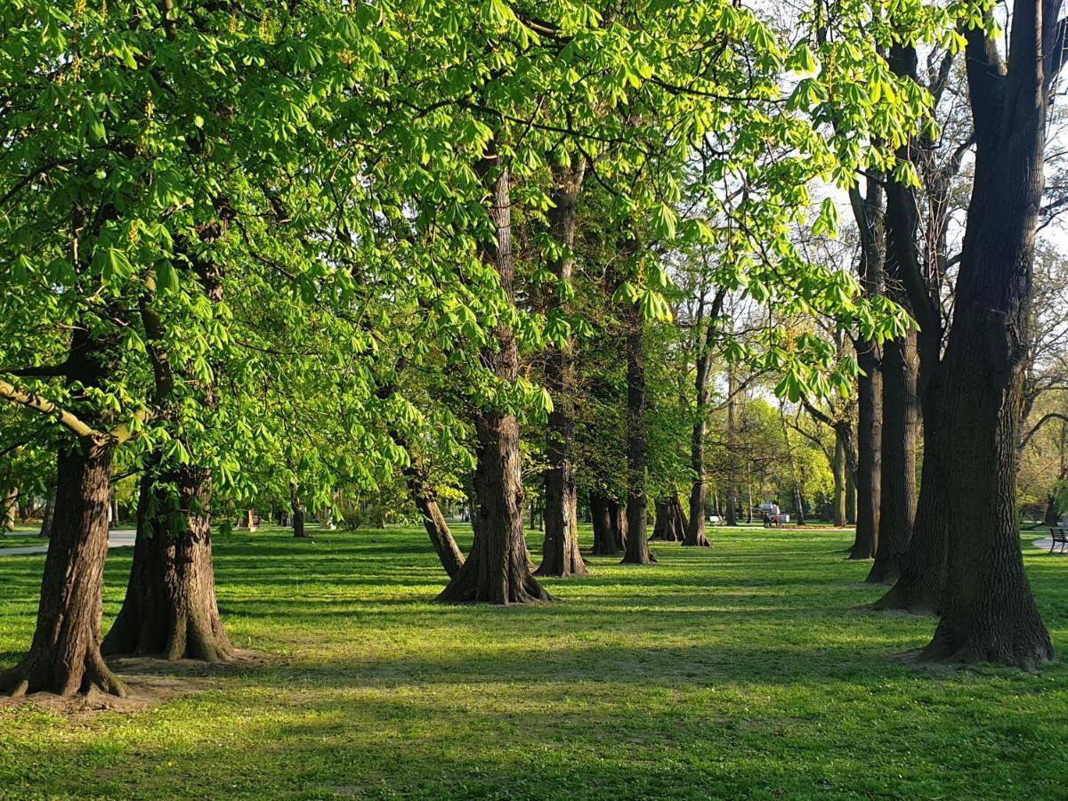 Park Lane Apartment Lea Krasków Εξωτερικό φωτογραφία